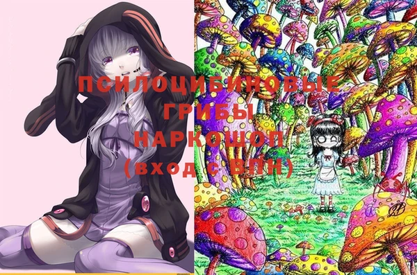 ECSTASY Зеленокумск