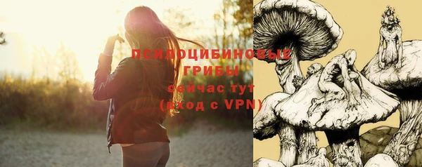 ECSTASY Зеленокумск