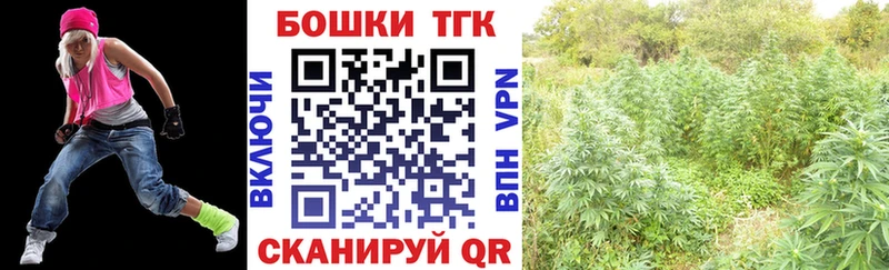 Купить где  Краснозаводск  Бошки марихуана SATIVA & INDICA 